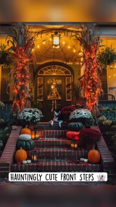 pumpkins and gourds are lit up on the front steps of a house