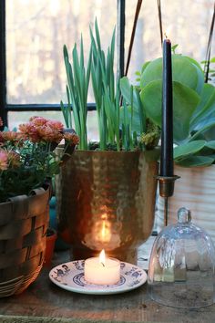 a candle is sitting on a table next to some potted plants