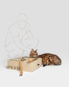 a cat laying on top of a box next to a paper cut out of a man