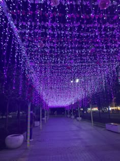 the walkway is lined with purple lights and flowers hanging from it's ceiling,