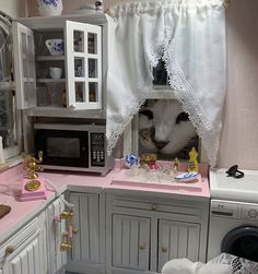 a white cat peeking out from behind a kitchen counter with pink countertops and cabinets