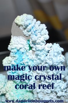 some white and blue corals with the words make your own magic crystal coral reef