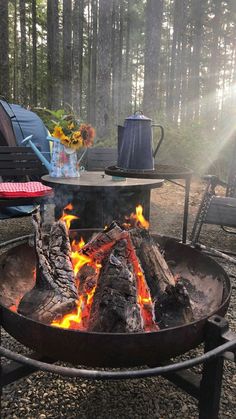 a fire pit sitting in the middle of a forest