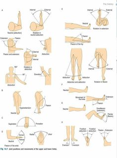 an image of the human body with different positions and muscles on it, including legs