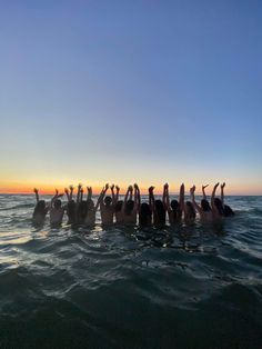 a group of people standing in the ocean with their hands up to the sky at sunset