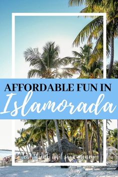 palm trees and the beach with text overlay that reads,'affordable fun in islamorada '