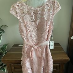 Nwt Size 6 Slight Wear On Sash Belt Retail Price $189 Elegant Spring Lace Dress For Mother Of The Bride, Spring Lace Dress For Mother Of The Bride, Spring Mother Of The Bride Lace Dress, Feminine Mother Of The Bride Summer Dress, Summer Sheath Dress For Mother Of The Bride, Pink Sleeveless Mother Of The Bride Dress, Pink Sleeveless Dress For Mother Of The Bride, Lace Caps, Sash Belts