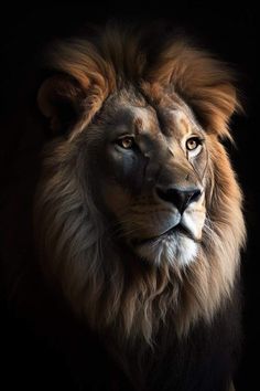 a close up of a lion's face on a black background with the light coming through its eyes