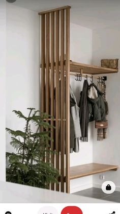 a wooden shelf with clothes hanging on it next to a potted plant in front of a white wall