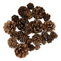 a bunch of pine cones sitting on top of each other