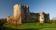 an old castle sitting on top of a lush green field next to a tree in front of a blue sky