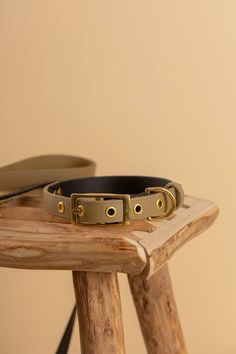 a leather dog collar on a wooden stool