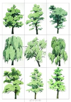 different types of trees are shown in green