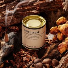 an open can of candle surrounded by wood chips and mushrooms