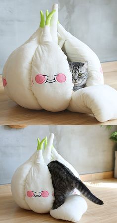 a cat is hiding in a stuffed animal that looks like an onion with pink eyes