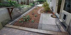 a small garden in the middle of a courtyard