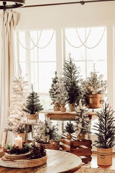 several christmas trees are arranged in baskets on the floor