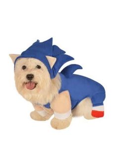 a small dog dressed up in a costume