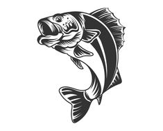 a fish jumping up into the air with its mouth open and tongue out, black and white