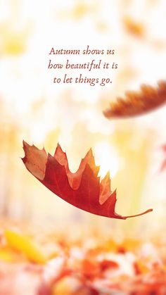 an autumn leaf floating in the air with a quote above it that reads, autumn shows us how beautiful it is to let things go