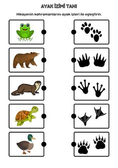 the worksheet is filled with pictures of animals and their tracks to learn how to read