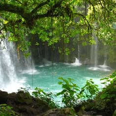 the waterfall is surrounded by green plants and rocks, with water running down it's sides