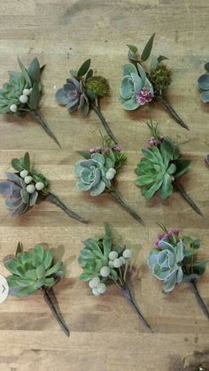 there are many succulents arranged on the table