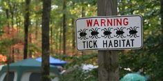 a warning sign posted on a wooden pole in the woods with tents in the background