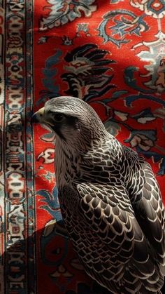 a large bird sitting on top of a rug