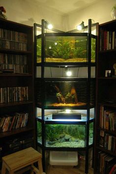 a fish tank in the corner of a bookshelf