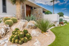 a cactus garden in front of a house with palm trees and rocks on the ground