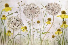 a painting of yellow and white flowers against a gray background