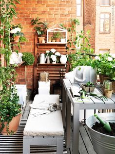 an outdoor patio with potted plants on the table and benches in front of it