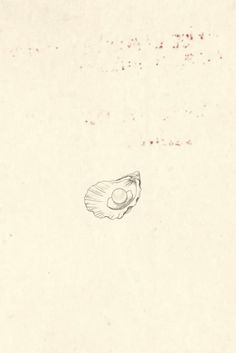 a drawing of a shell is shown in the middle of an old paper with red spots on it