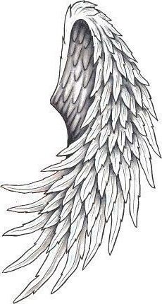 a drawing of an angel's wing