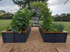 an outdoor garden area with several planters and benches in the foreground, along with a basketball hoop