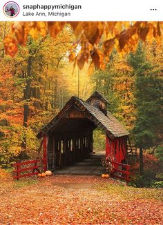 a covered bridge surrounded by trees and leaves in the fall with pumpkins on the ground