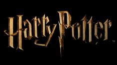 the logo for harry potter is shown in this undrecognized image from the movie