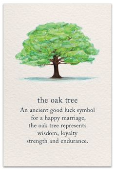 the oak tree is an ancient good luck symbol for a happy marriage, the folk tree represents wisdom, loyalty, strength and abundance