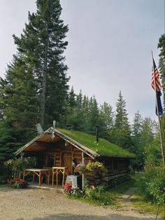 an old log cabin with a green roof and grass on the roof is surrounded by tall pine trees