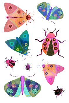 four colorful bugs and two butterflies on a white background, each with different colors in their wings