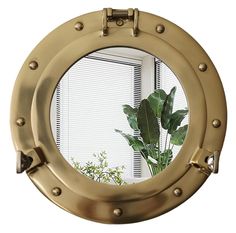 there is a plant in the mirror on the wall