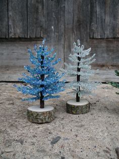 three small trees are sitting on the ground