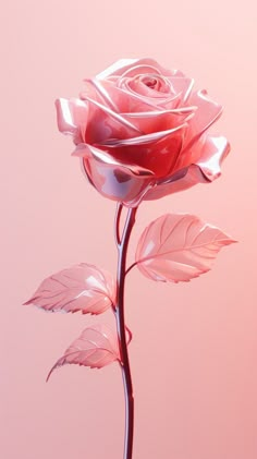 a single pink rose is shown on a pink background