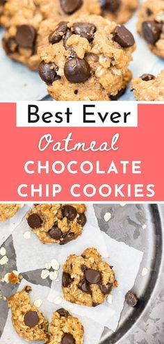 the best ever oatmeal chocolate chip cookies on a plate with text overlay