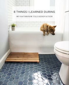 a cat is sitting on the edge of a bathtub in a bathroom with blue tiles