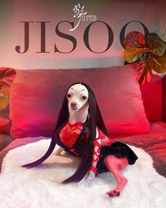 a dog with long hair sitting on top of a white fur covered bed next to a red pillow