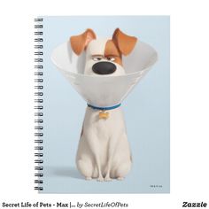 the secret life of pets movie poster with a dog wearing a cone on its head