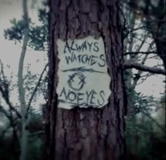 a tree with a sign on it that says always watchers noeyes written on the bark