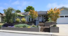 an outdoor garden with plants and trees in front of a house